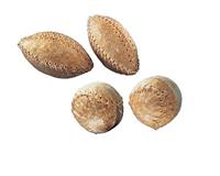 Tyggebold baseball 7,5 cm