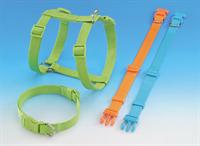 Sele Classic orange